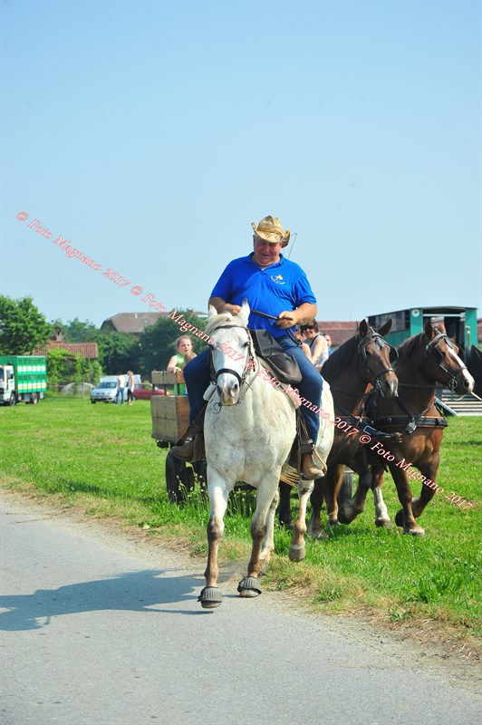 DSC_0775.JPG